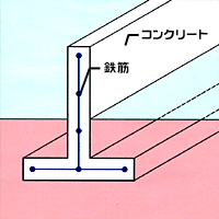 基礎検査